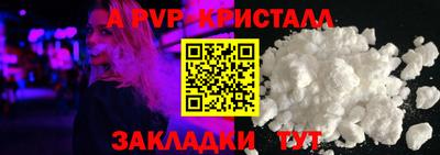 jwh Кингисепп