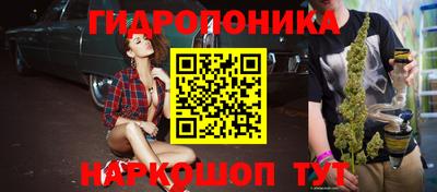 jwh Кингисепп