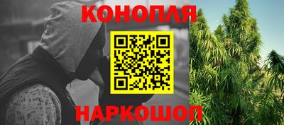 jwh Кингисепп