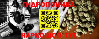 jwh Кингисепп