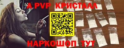 jwh Кингисепп