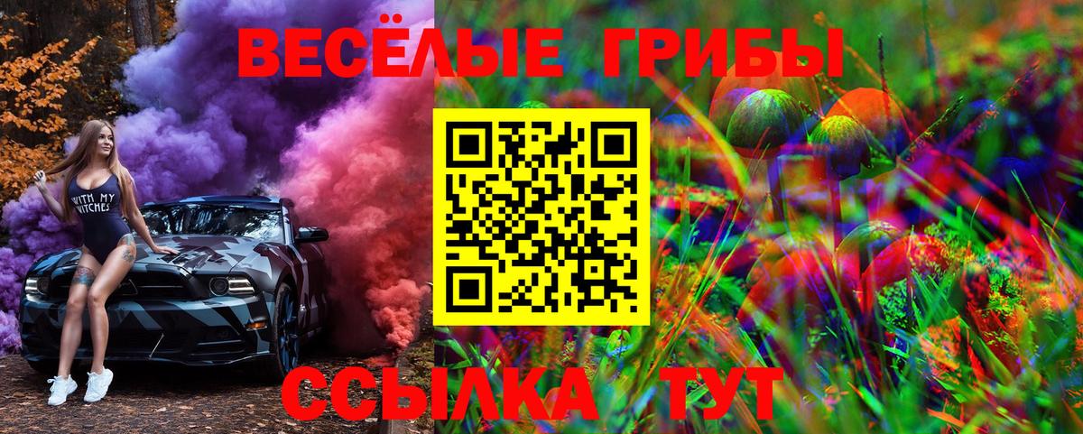 Псилоцибиновые грибы GOLDEN TEACHER  Галлюциногенные грибы мицелий  Черногорск  Вход с VPN 